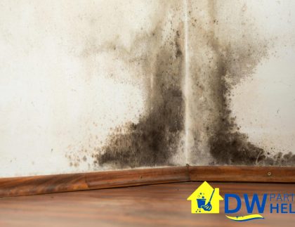 featured-image-signs-of-molds-build-up-what-happens-if-you-dont-engage-professional-part-time-cleaning-services-part-time-cleaner-dw-part-time-helper-singapore