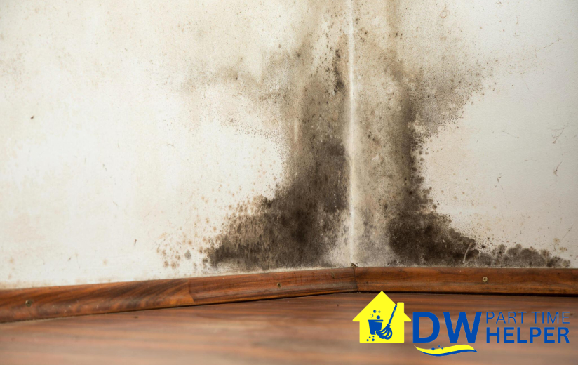 featured-image-signs-of-molds-build-up-what-happens-if-you-dont-engage-professional-part-time-cleaning-services-part-time-cleaner-dw-part-time-helper-singapore