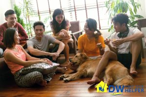 high-foot-traffic-environment-should-you-opt-for-part-time-cleaning-or-full-time-cleaning-in-singapore-part-time-cleaner-dw-part-time-helper-singapore
