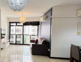 House Cleaning in Singapore - HDB, Tiong Bahru 16 house-cleaning-dw-part-time-helper-singapore-hdb-tiong-bahru-1