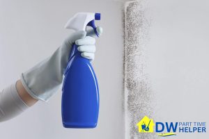 The Importance Of Regular House Cleaning Services For Your Health 4 mold-and-mildew-control-the-importance-of-regular-house-cleaning-services-for-your-health-house-cleaning-dw-part-time-helper-singapore