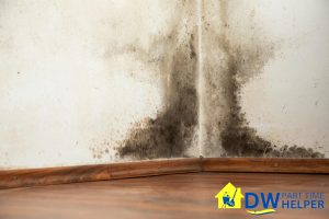 mold-and-mildew-growth-what-happens-if-you-dont-engage-professional-part-time-cleaning-services-part-time-cleaner-dw-part-time-helper-singapore