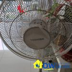 cleaning-fan-part-time-cleaner-service-dw-part-time-helper-singapore-hdb-bukit-merah-02